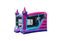 Princess Castle Combo (Wet or Dry)