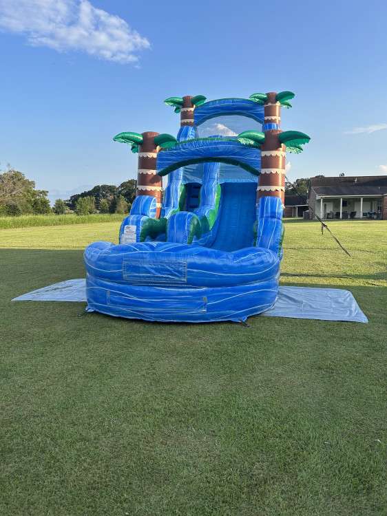 Blue tropical palm tree water slide rental with splash pool set up on a green lawn in Acadiana, Louisiana