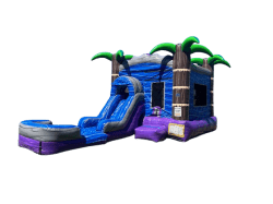 Purple Crush Pool Combo (Wet or Dry)