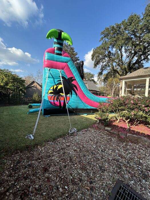 Palm-tree themed water slide rental anchored on grass beside a mulched flower bed in a tight Acadiana backyard, anchor straps angled out to stakes
