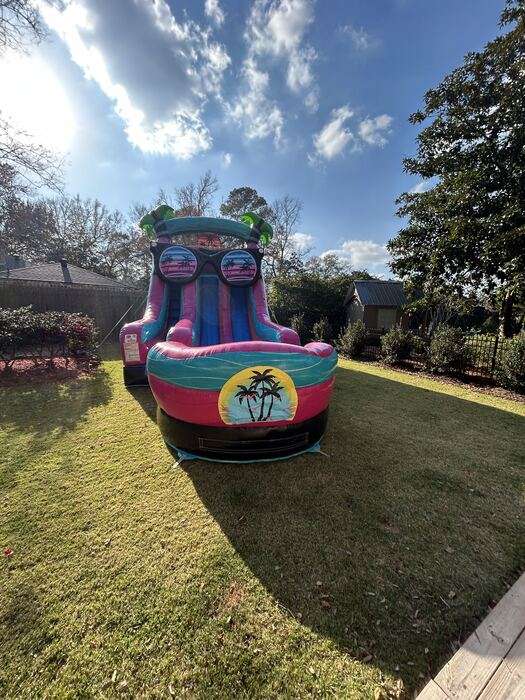 Tropical palm-themed inflatable water slide set up on a shaded, freshly mowed backyard lawn in Lafayette, LA